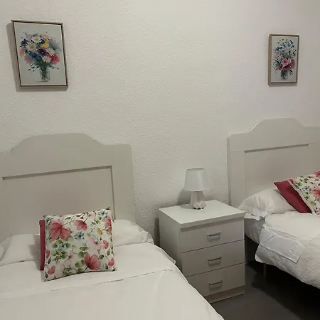 Apartamento Alonso De Burgos En El Centro De *